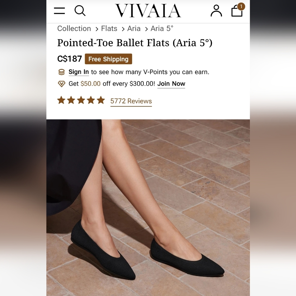 Black Pointed-Toe Ballet Flats Vivaia Size 39